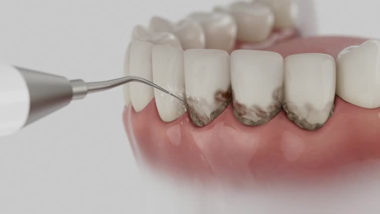 Reliable Dental contractor in Texarkana, AR by Dentist Open Now